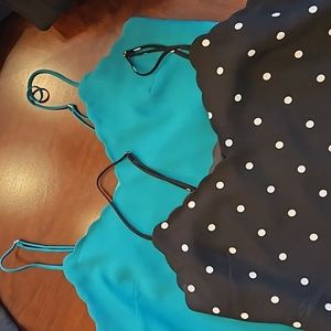 Pair of J Crew Camis